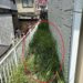 草刈り　草抜き　雑草処理　塗装　塗替え　防水　朝日塗工